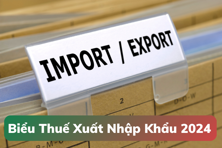 Biểu thuế xuất nhập khẩu 2024